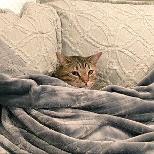 Meet your Posher, Megan